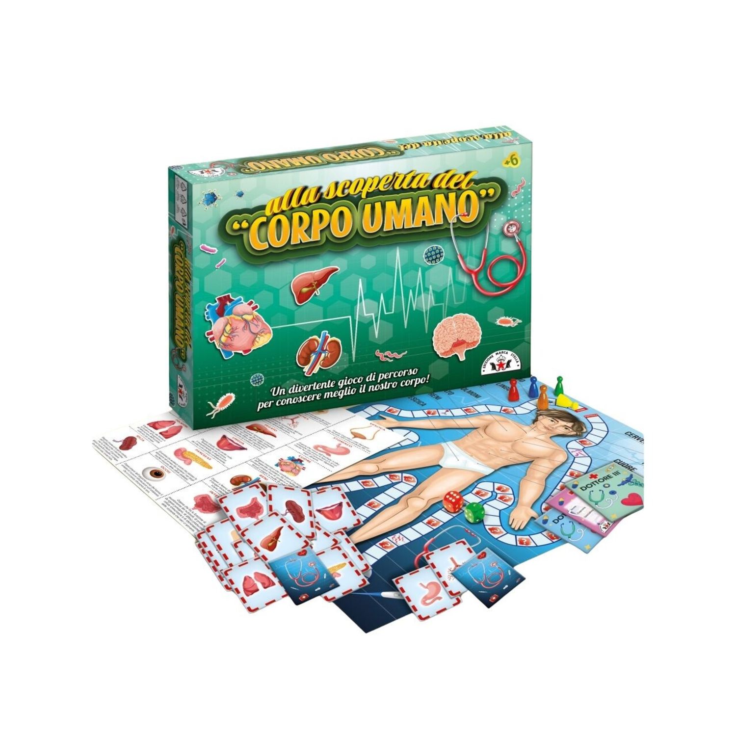 Gioco alla scoperta del corpo umano - 