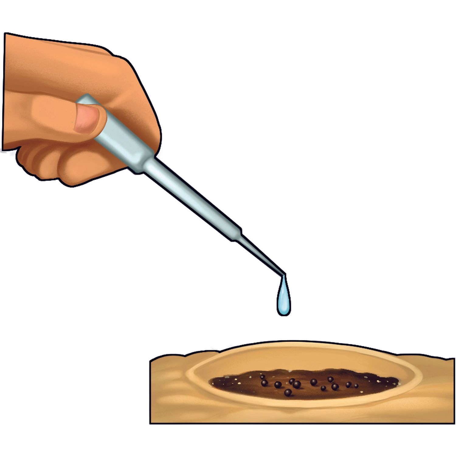 Clementoni scienza & gioco botanica delle piante grasse 19422 – gioco educativo botanica - CLEMENTONI