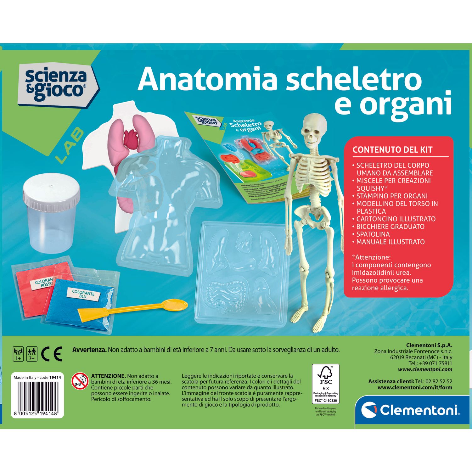 Clementoni scienza & gioco anatomia scheletro e organi 19414 – kit educativo anatomia umana - CLEMENTONI