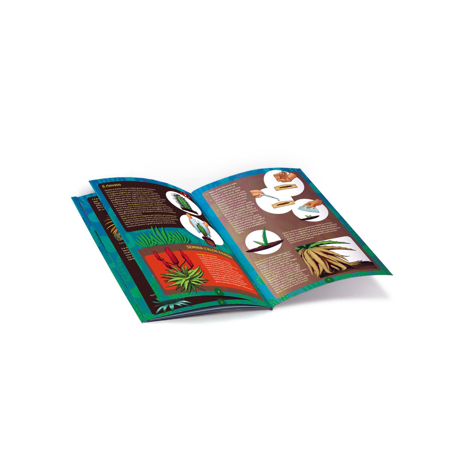 Clementoni scienza & gioco botanica delle piante grasse 19422 – gioco educativo botanica - CLEMENTONI