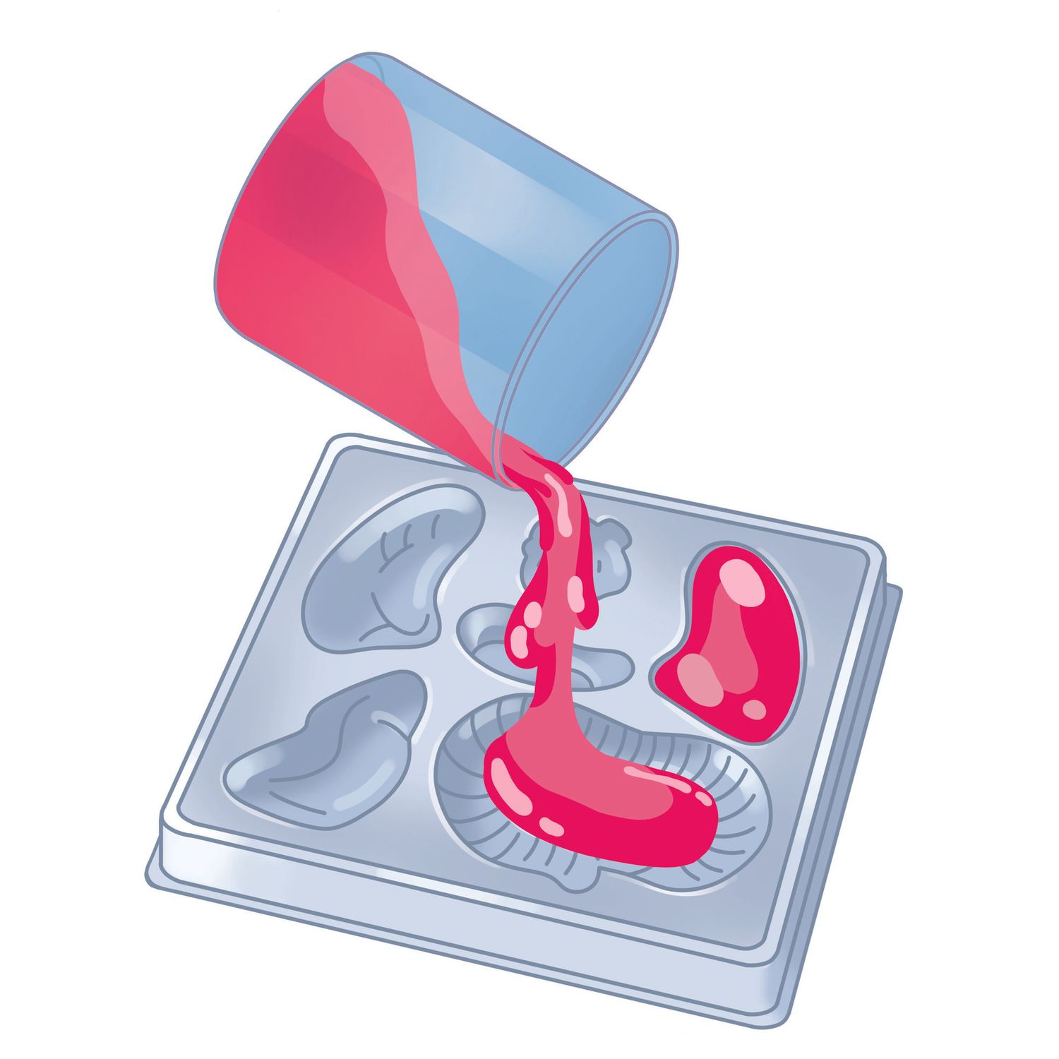 Clementoni scienza & gioco anatomia scheletro e organi 19414 – kit educativo anatomia umana - CLEMENTONI