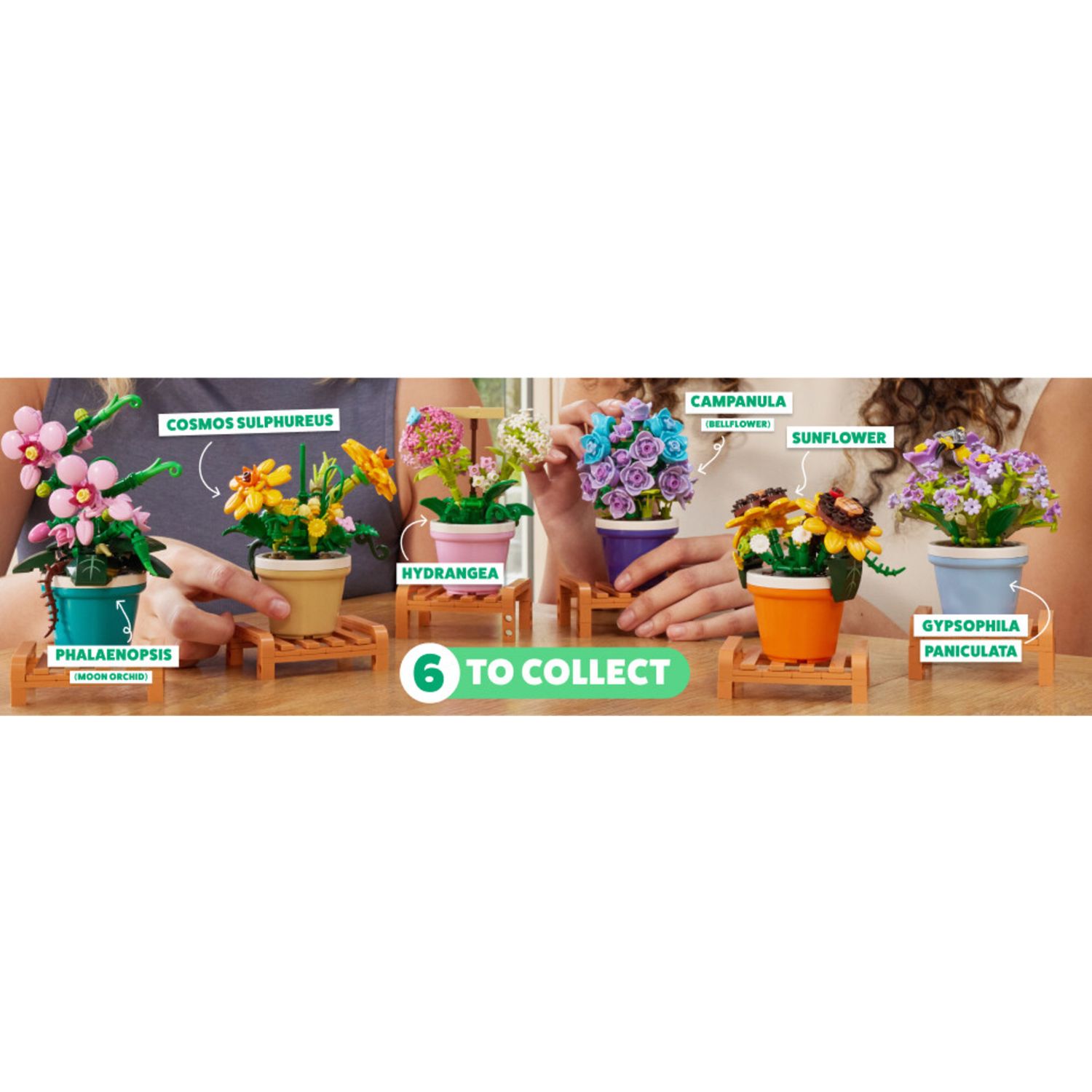 Max garden 4 pack: set da giardinaggio per bambini - assortito - DB LINE