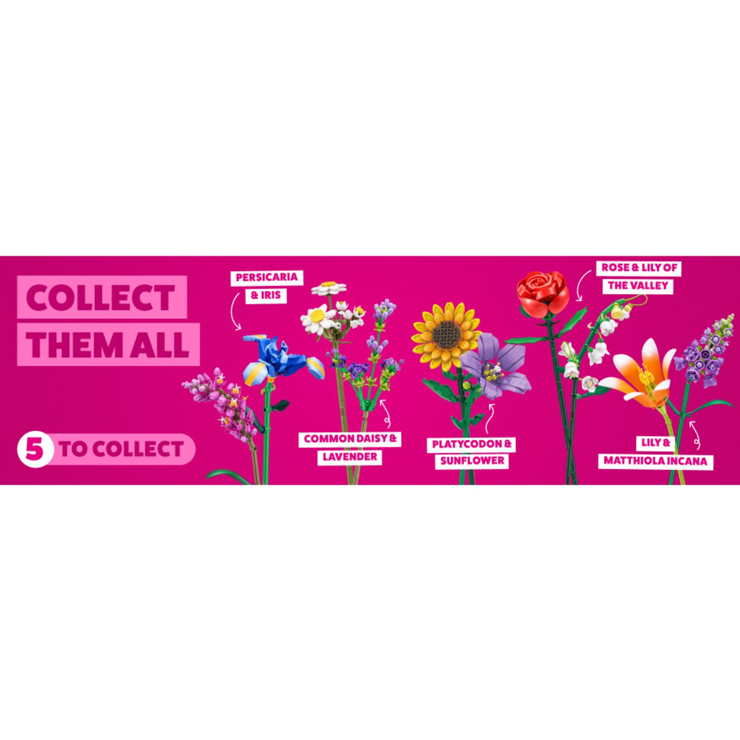 Max flowers 4 pack: set da giardino, 8 fiori - assortito - DB LINE