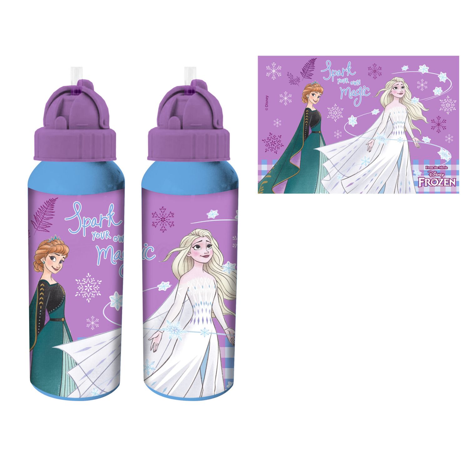 Borraccia alluminio 550 ml con beccuccio - frozen assortita - modello sport - Frozen