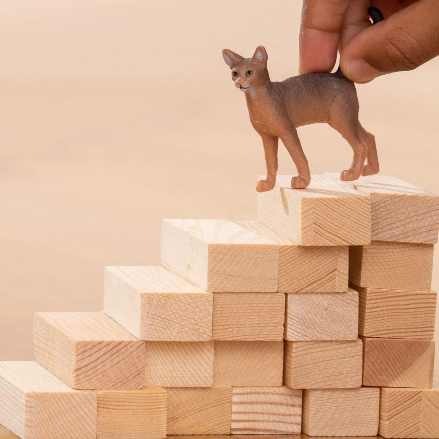 Gatto abissino - schleich - Schleich