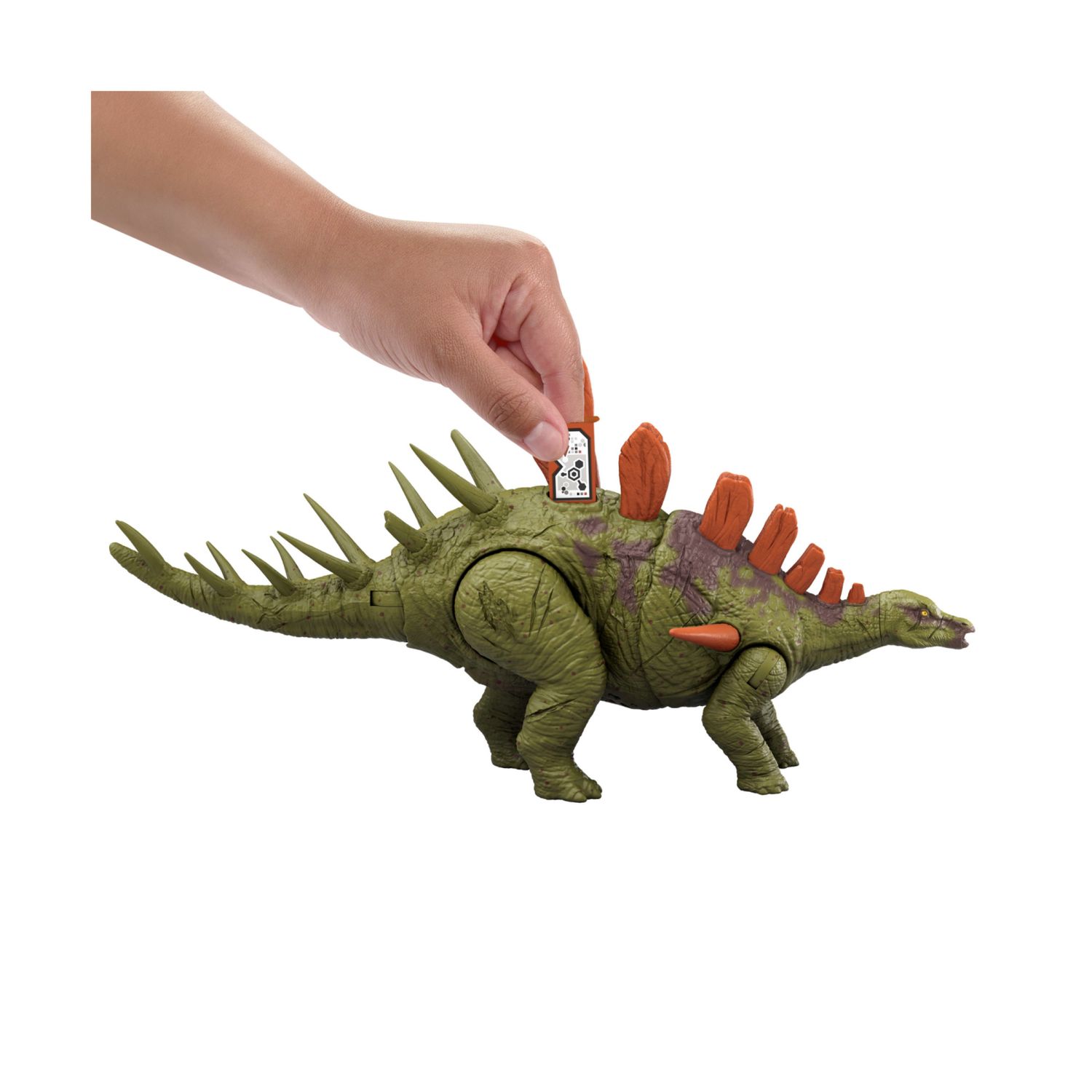 Mattel jurassic world - kentrosaurus ruggito selvaggio, dinosauro snodato con ruggito feroce e azione d'attacco inclusa - Jurassic World