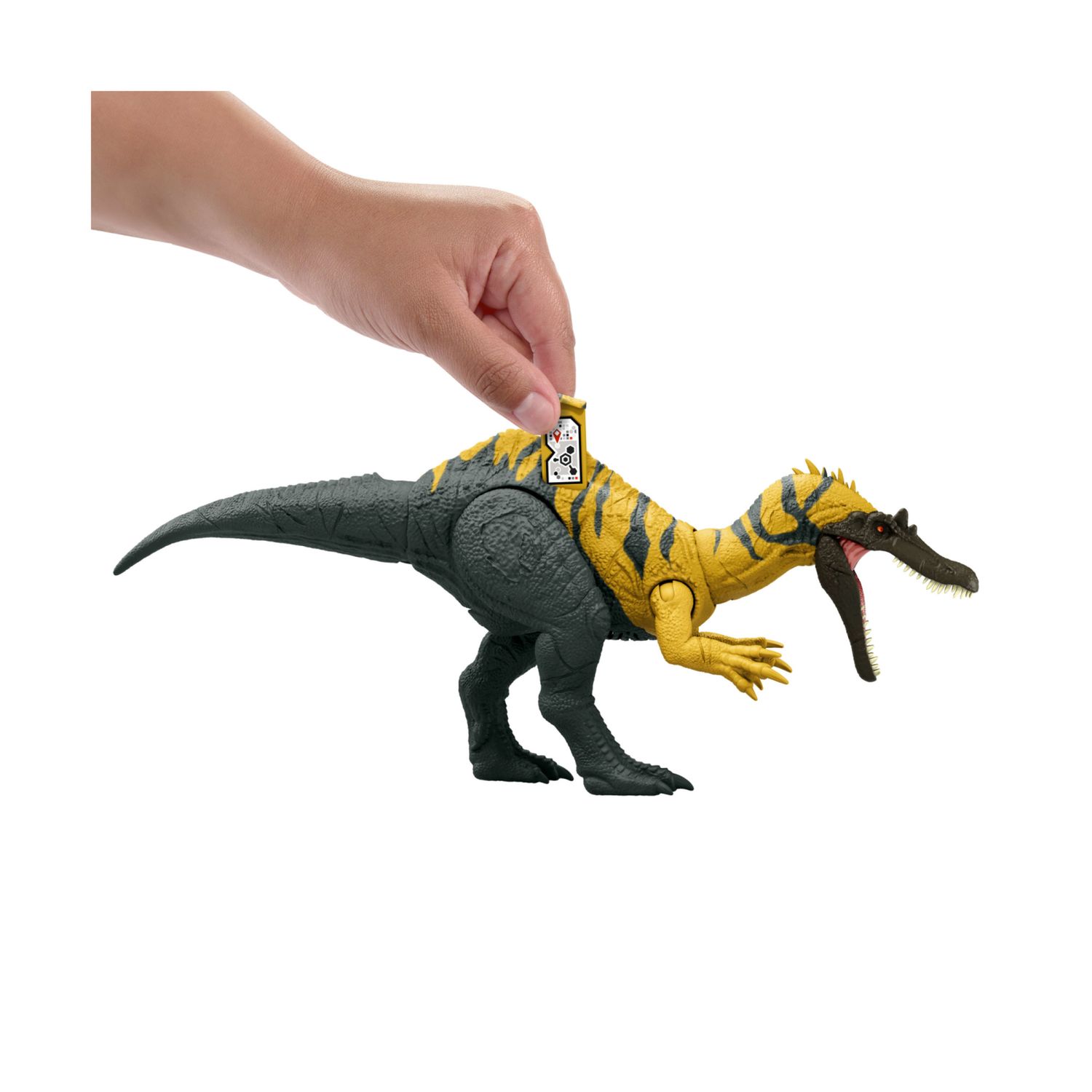 Mattel jurassic world - ceratosuchops ruggito selvaggio, dinosauro snodato con ruggito feroce e azione d'attacco inclusa - Jurassic World