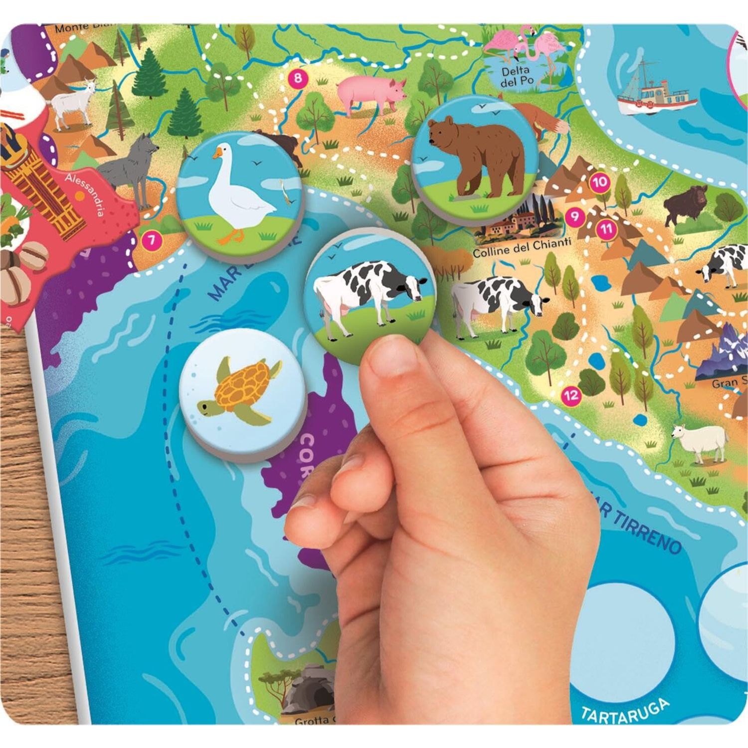 Clementoni - italia magnetica  - 16690 - CLEMENTONI, SAPIENTINO