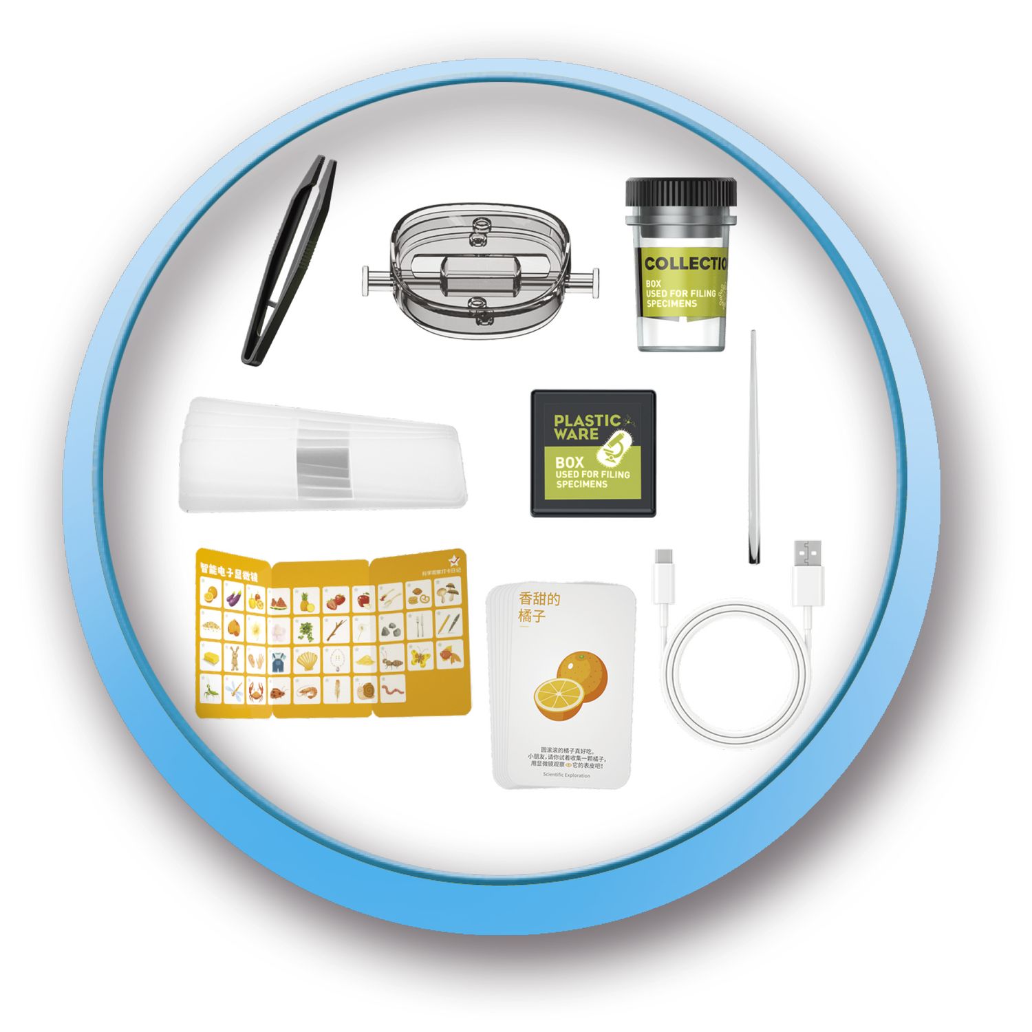 Microscopio portatile lcd – ingrandimenti fino a 1000x con accessori - MICRO PLANET