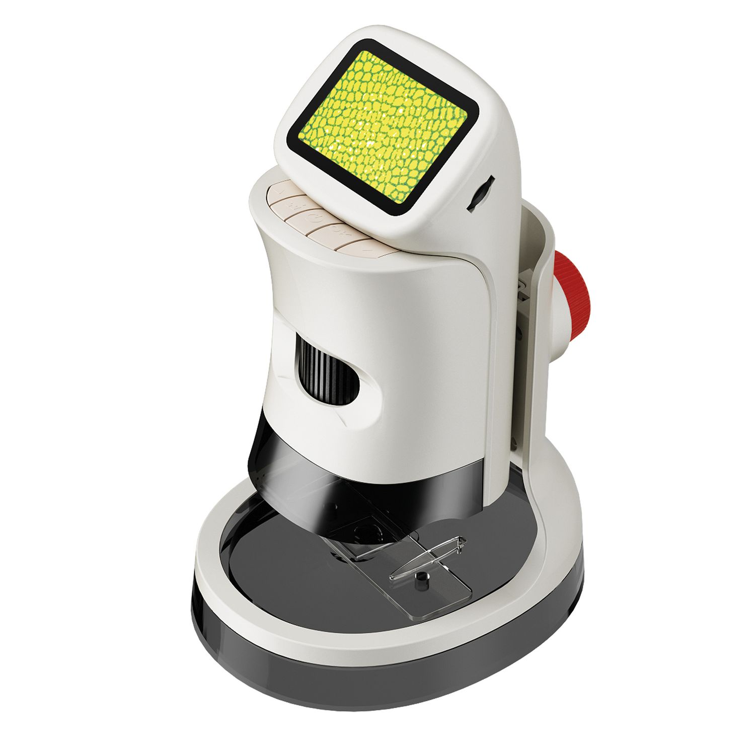 Microscopio portatile lcd – ingrandimenti fino a 1000x con accessori - MICRO PLANET