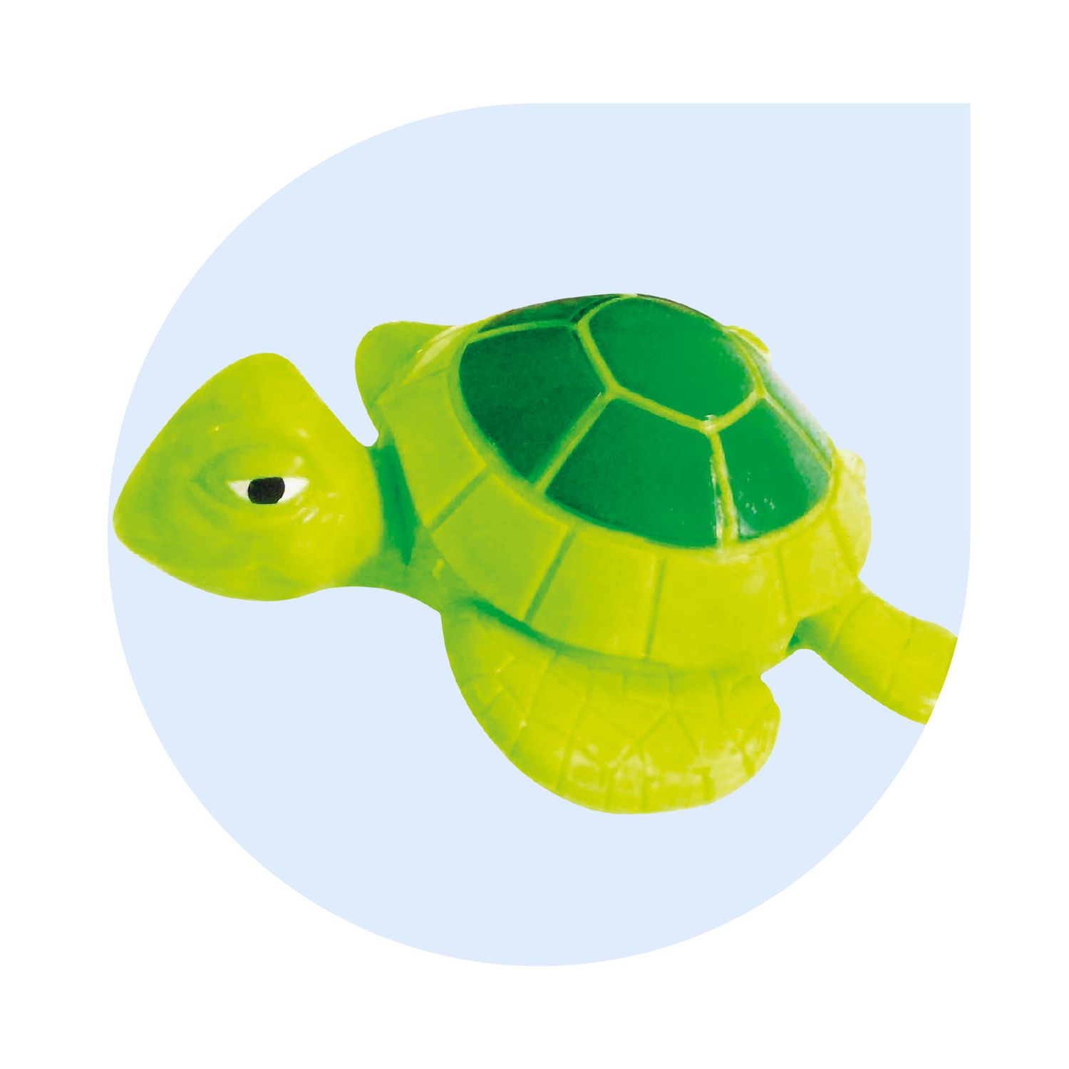 Swimming animals - sun&sport - SUN&SPORT