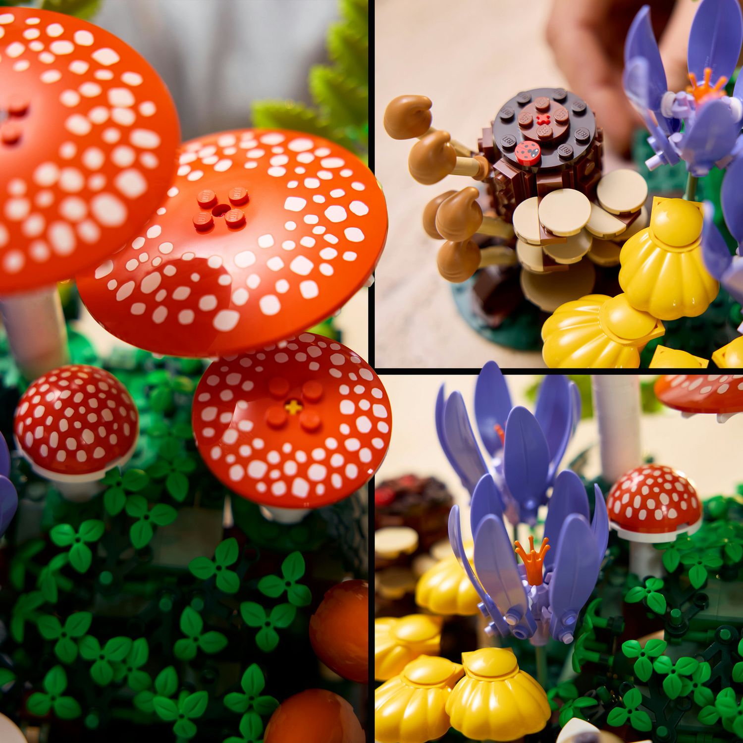 Lego botanicals funghi del bosco - 11505 - LEGO ICONS BOTANICAL, Lego