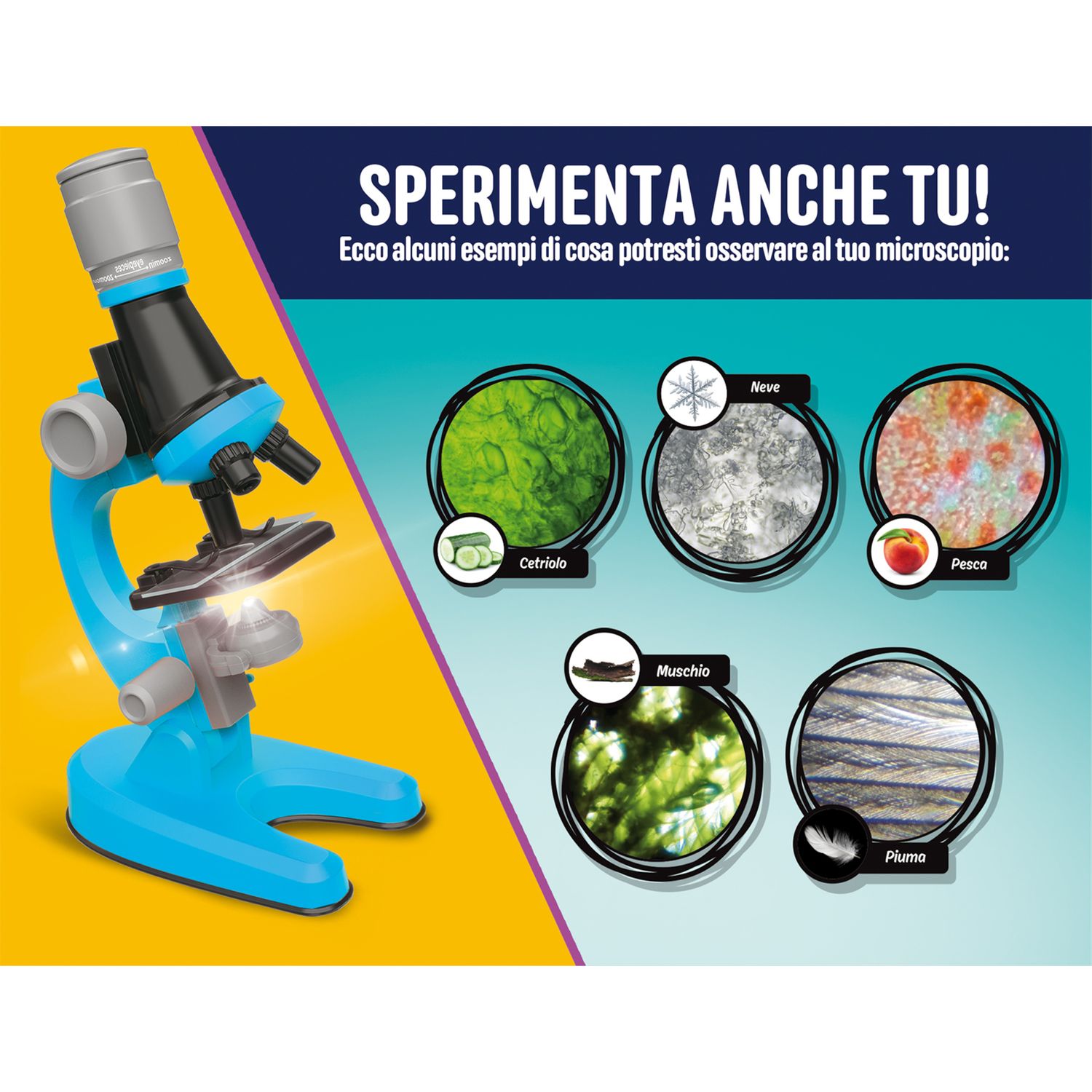 I’m a genius microscopio - LISCIANI